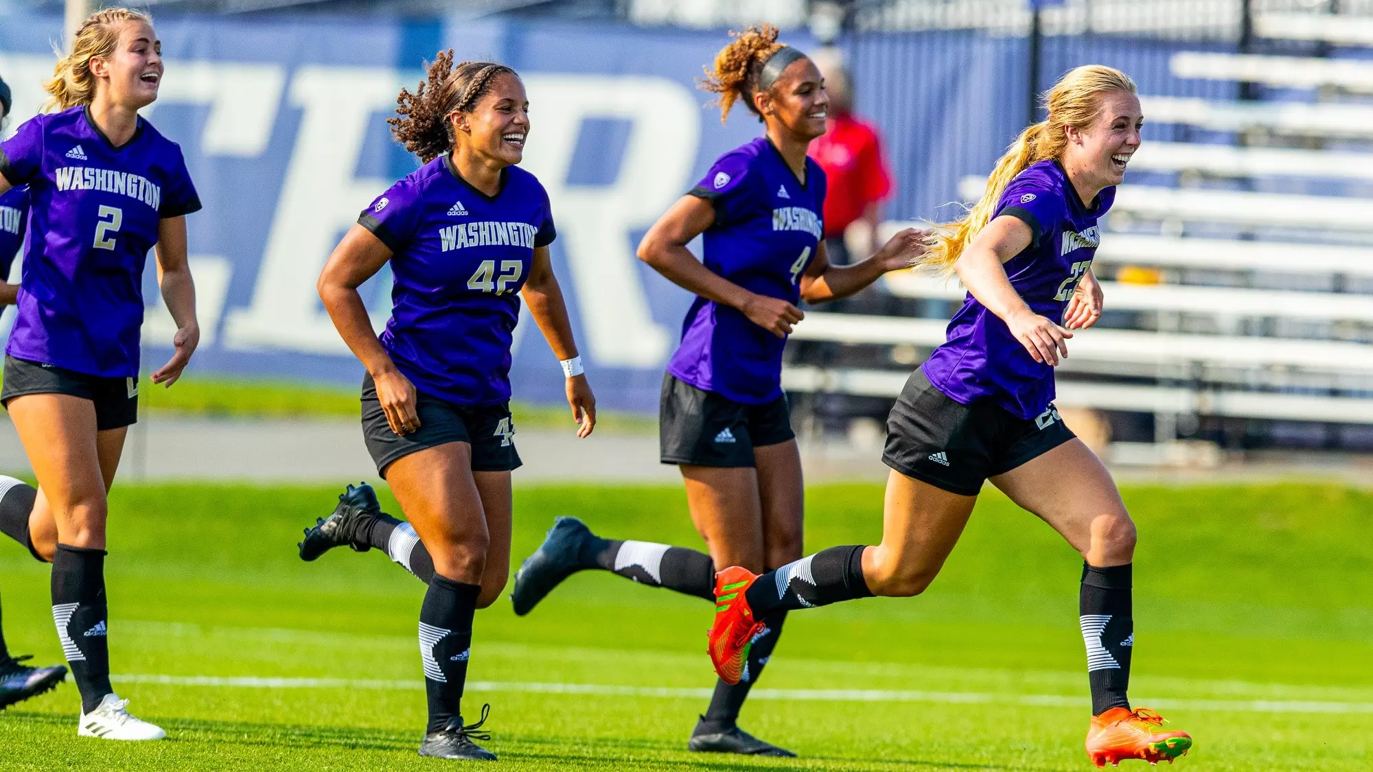 稳固了排行 稳固了排行