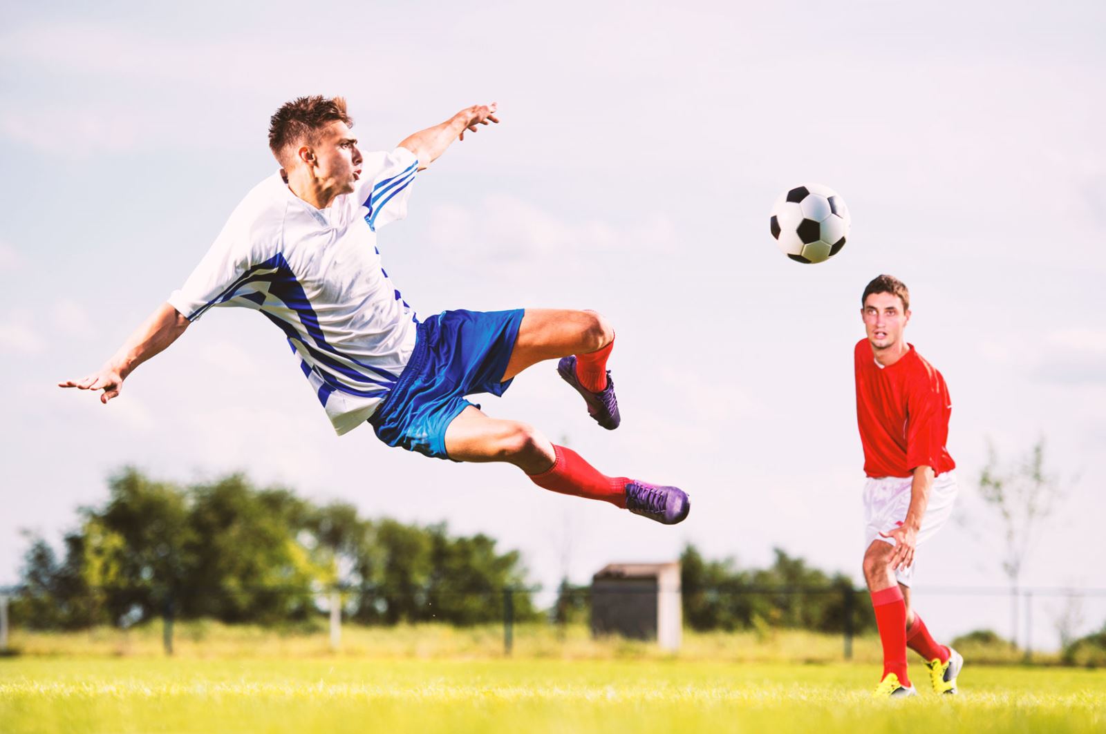 的传奇人物 的传奇人物