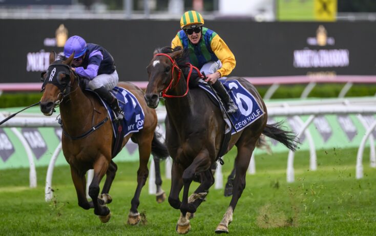 居民人均可 居民人均可