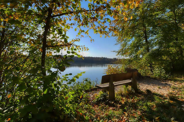 锁定胜局 锁定胜局
